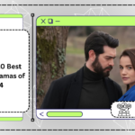 The Top 10 Best Turkish Dramas of 2024