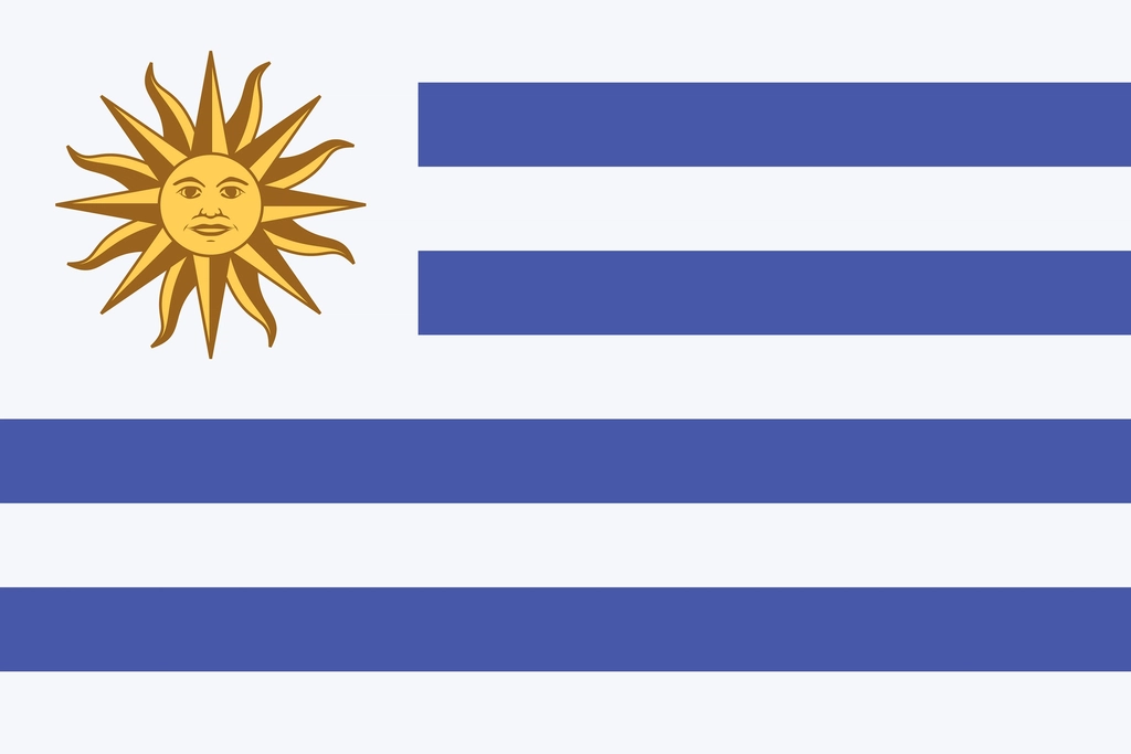 Flag Uruguay illustration vector