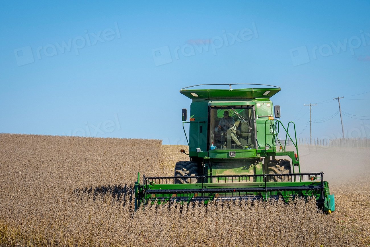 A farmer harvests a soybean