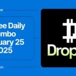 Dropee Daily Combo February 25 2025